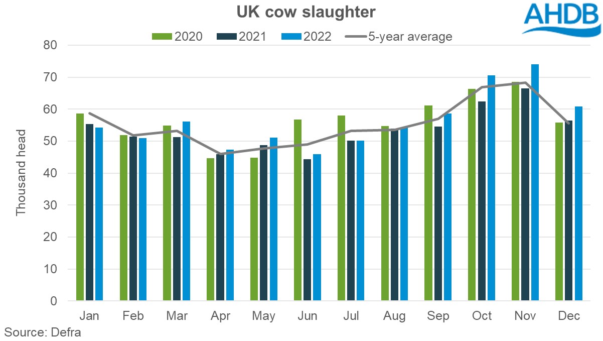 Graph of UK cow slaughter year to date (Jan - Dec)